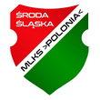 MLKS Polonia