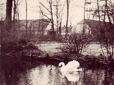 Park widok na południe